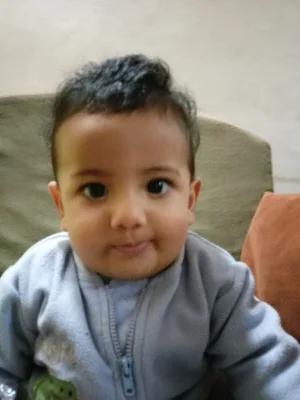 جواد